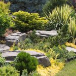 5 Gorgeous Rock Landscaping Ideas