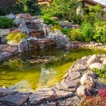 Guide Choosing Best Landscaping Rock