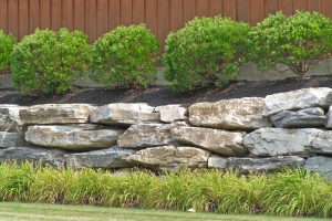 Decorative Rock Natural Stone Ideas For Garden