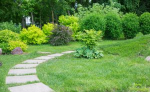 Benefits of Tree Selection In Landscaping