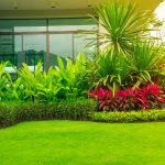 How It Take to Landscape Home