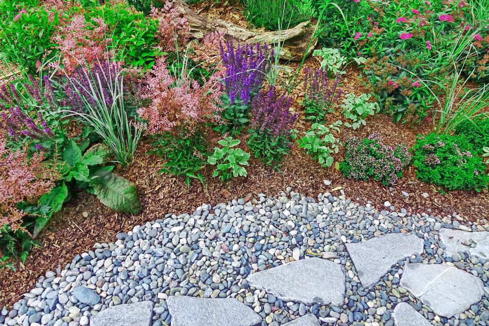 A beautiful rock garden with flowers