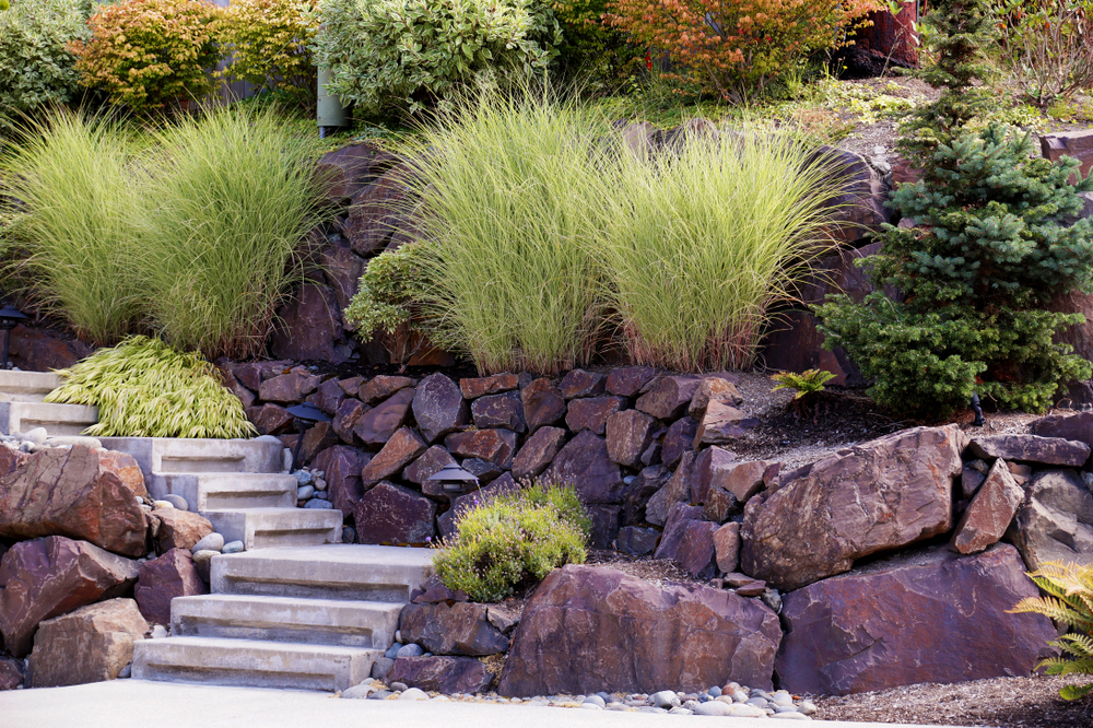 Steep Slope Landscaping