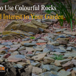 How to Use Colourful Rocks to Add Interest to Your Garden