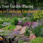 Rock Garden