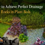 Perfect Drainage with Rocks in Plant Beds