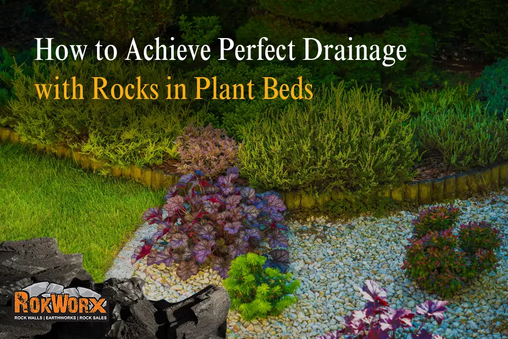 Perfect Drainage with Rocks in Plant Beds